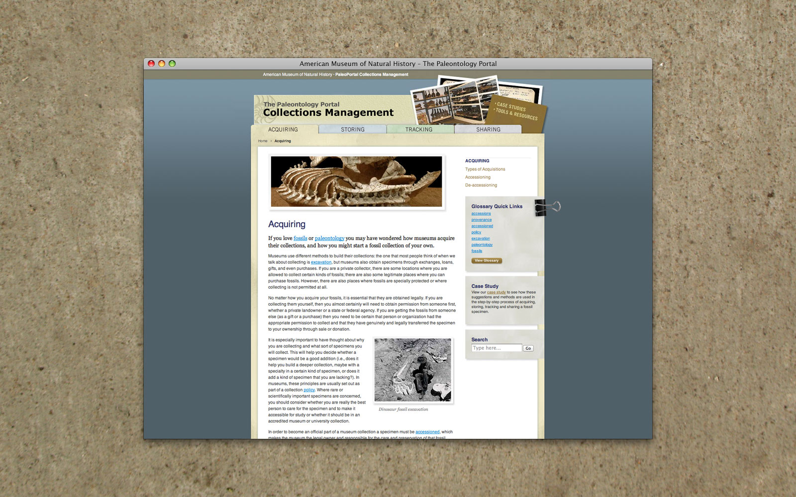 AMNH PaleoPortal Collections Management website 2