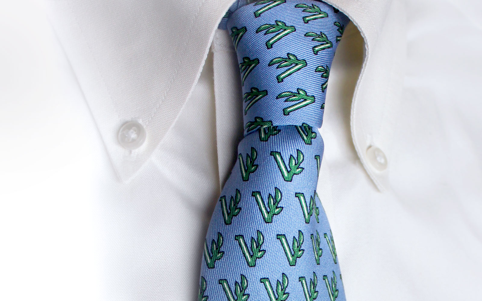 Valley School of Ligonier tie
