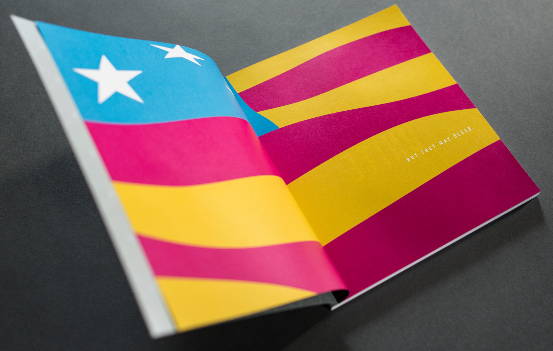 AIGA Hawaii 2013 winner's book 3