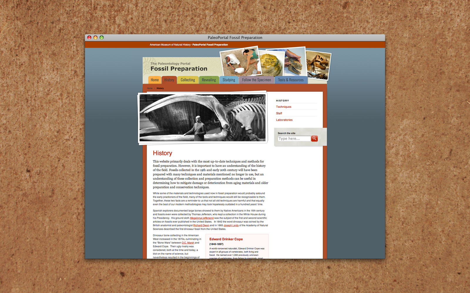 AMNH PaleoPortal Fossil Preparation website 2