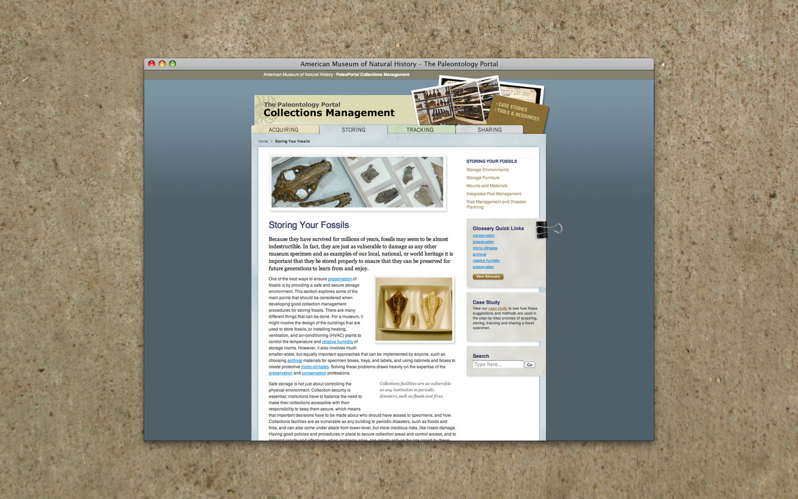 AMNH PaleoPortal Collections Management website 3