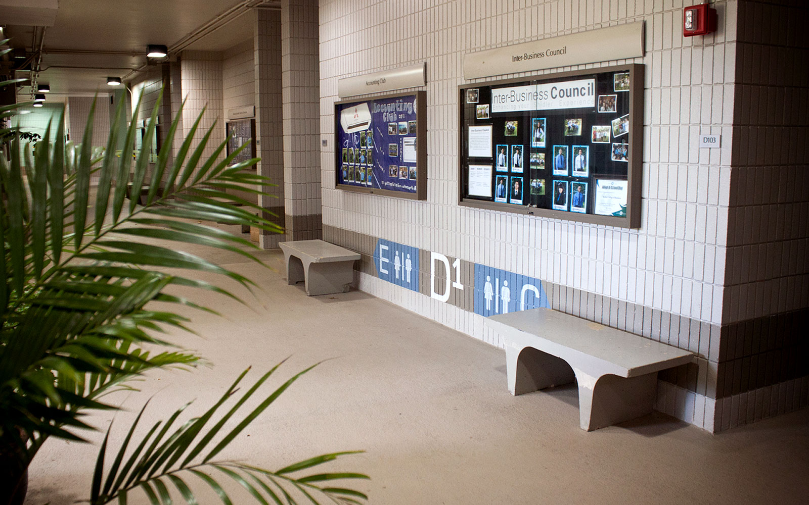 Shidler College of Business wayfinding signage hallway