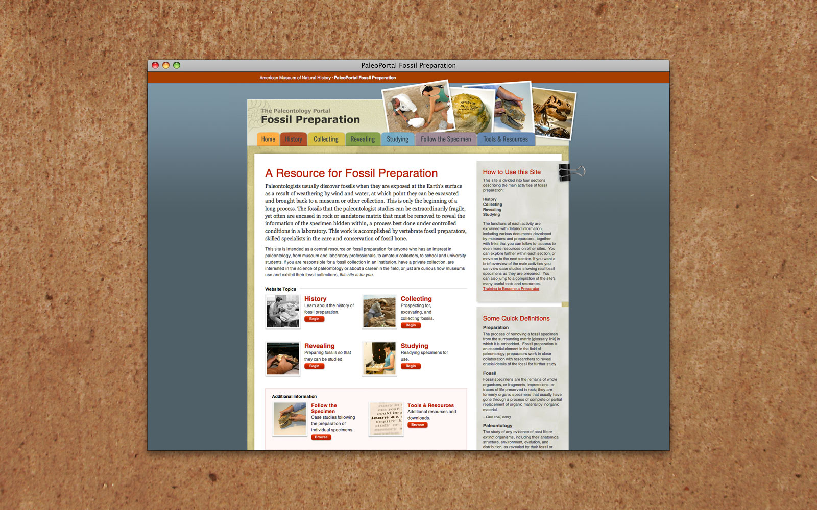AMNH PaleoPortal Fossil Preparation website 1