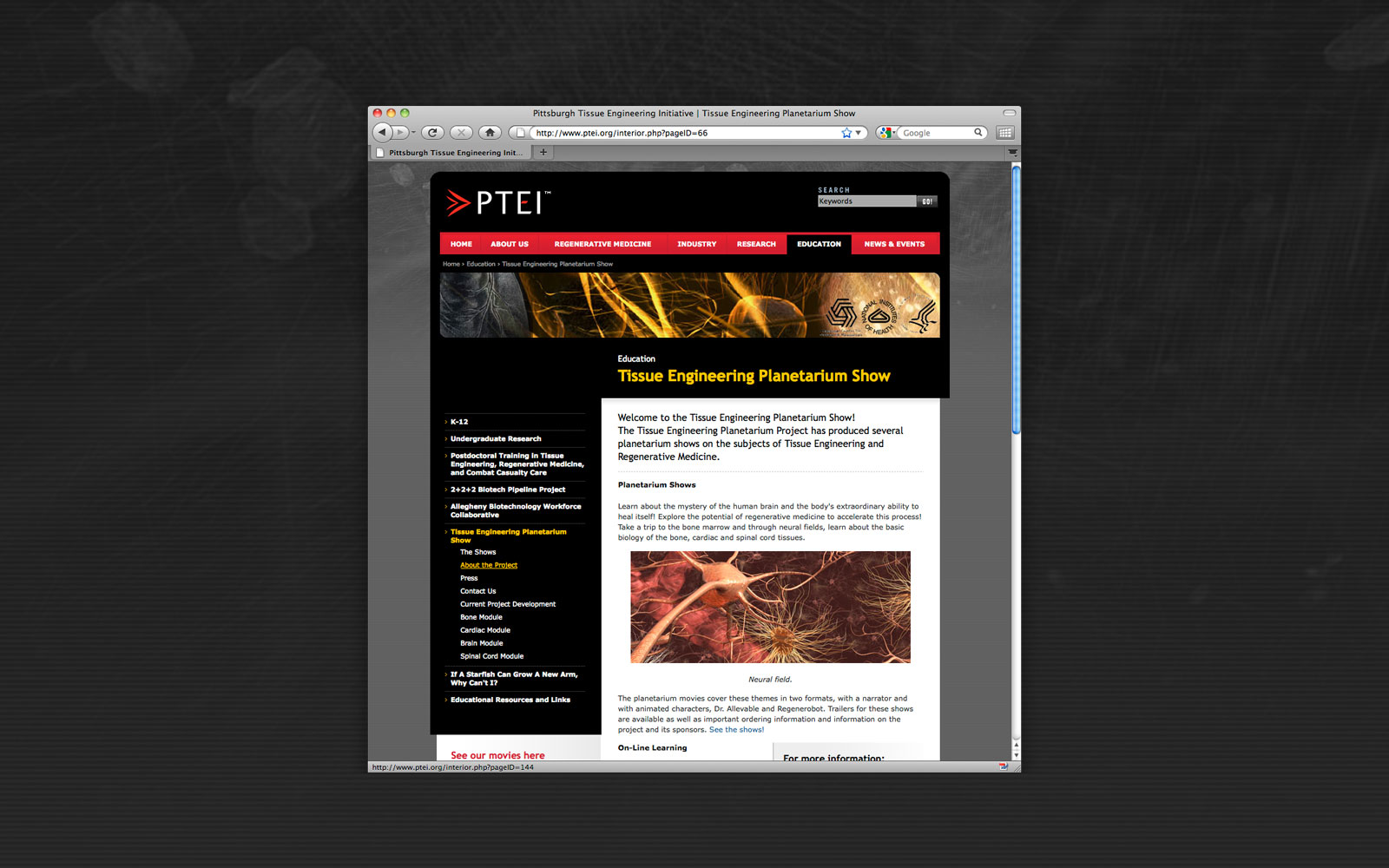 PTEI Portfolio