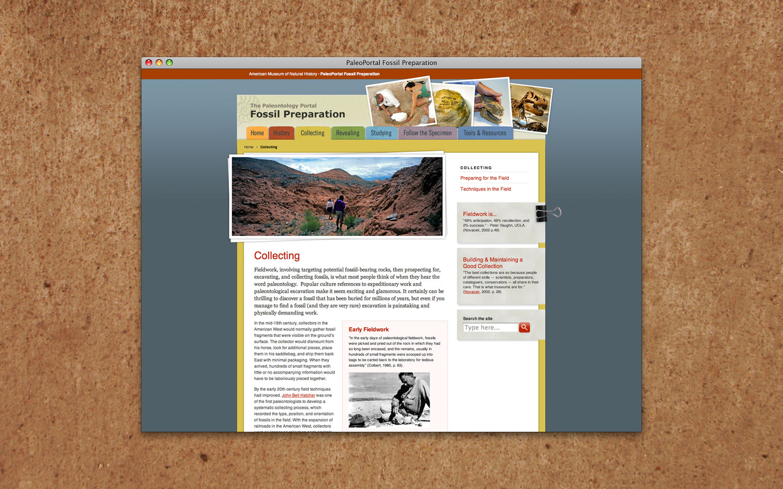 AMNH PaleoPortal Fossil Preparation website 3
