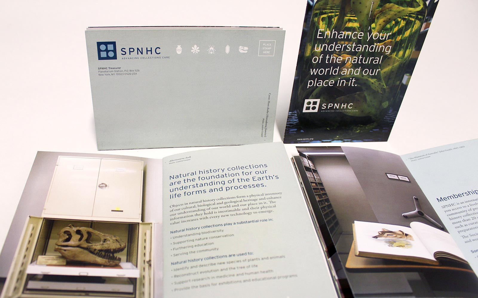 Society for the Preservation of Natural History Collection SPNHC brochure pages