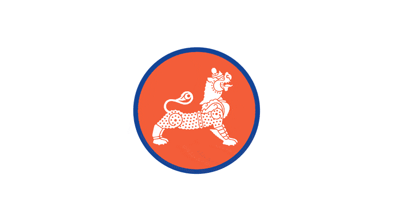 Transfuze logo animation