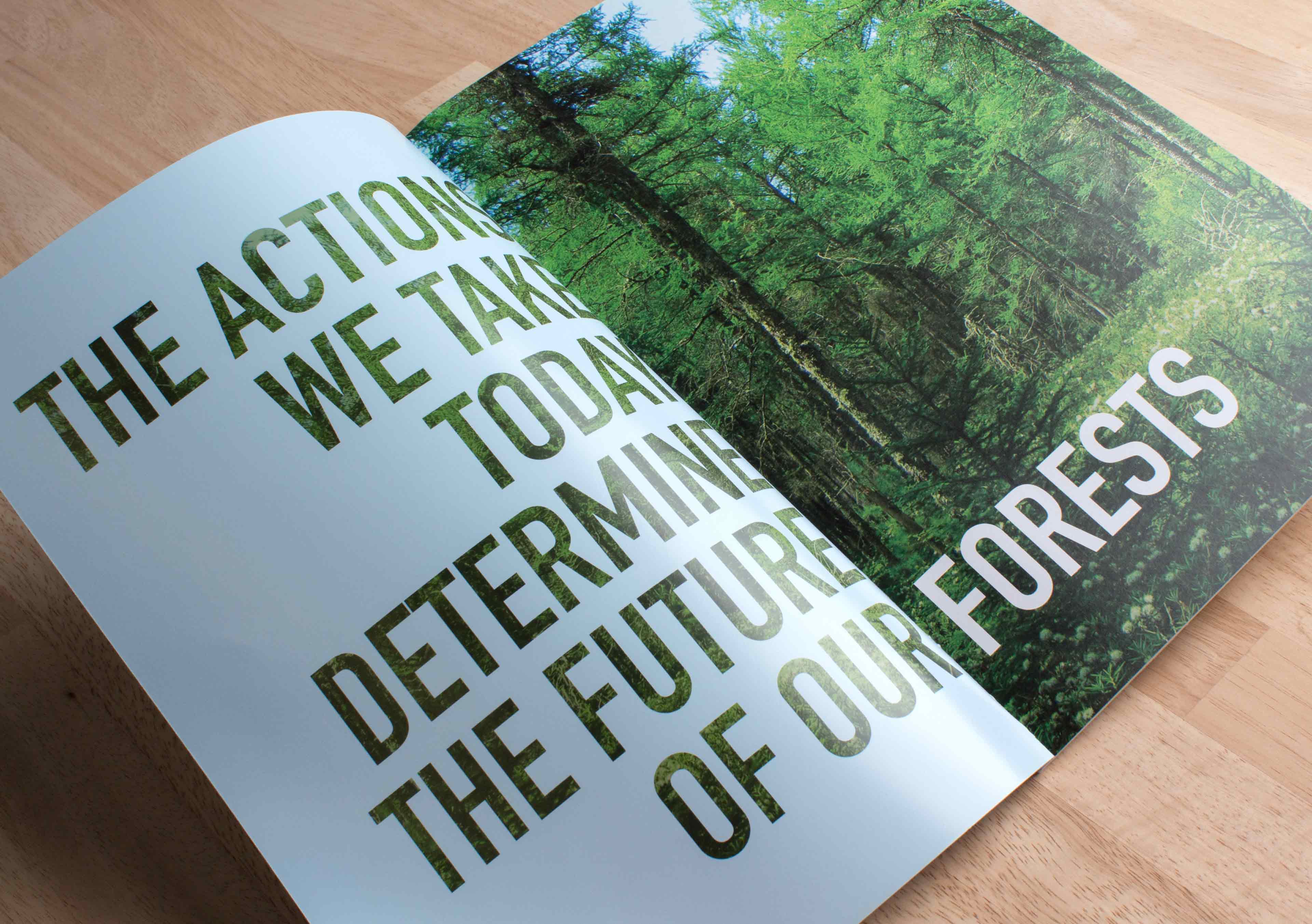 Sustainable Forestry Initiative 2014 report spread