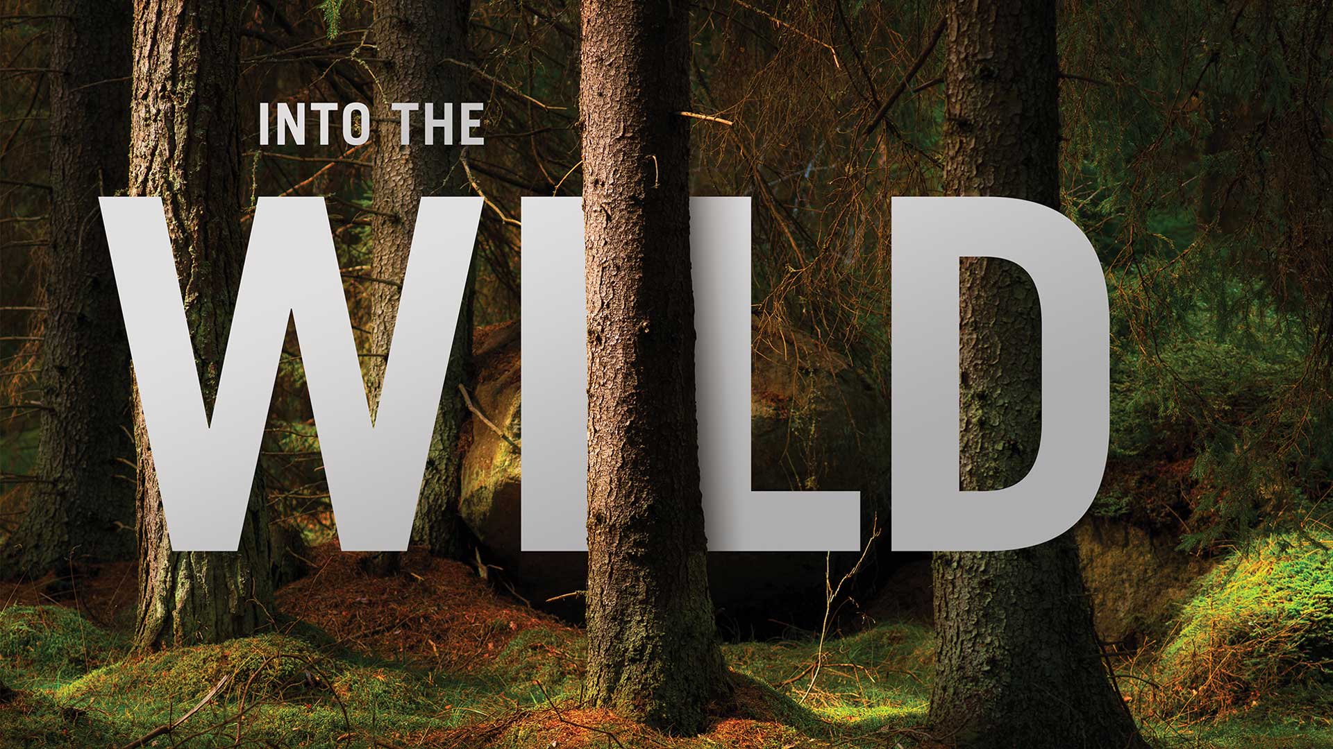 Allegheny Land Trust Into the Wild fundraiser graphic