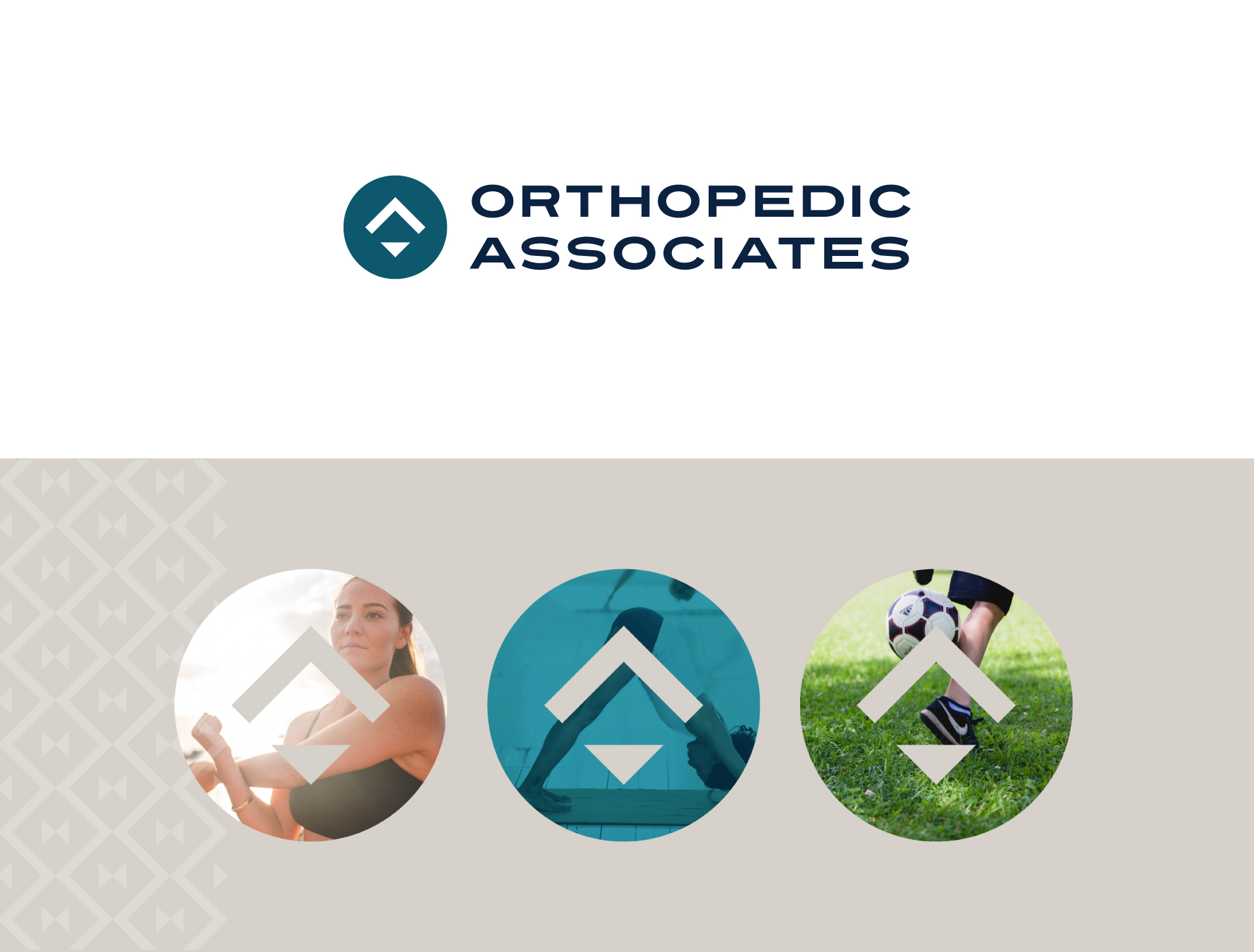 OA Logo and Bug.