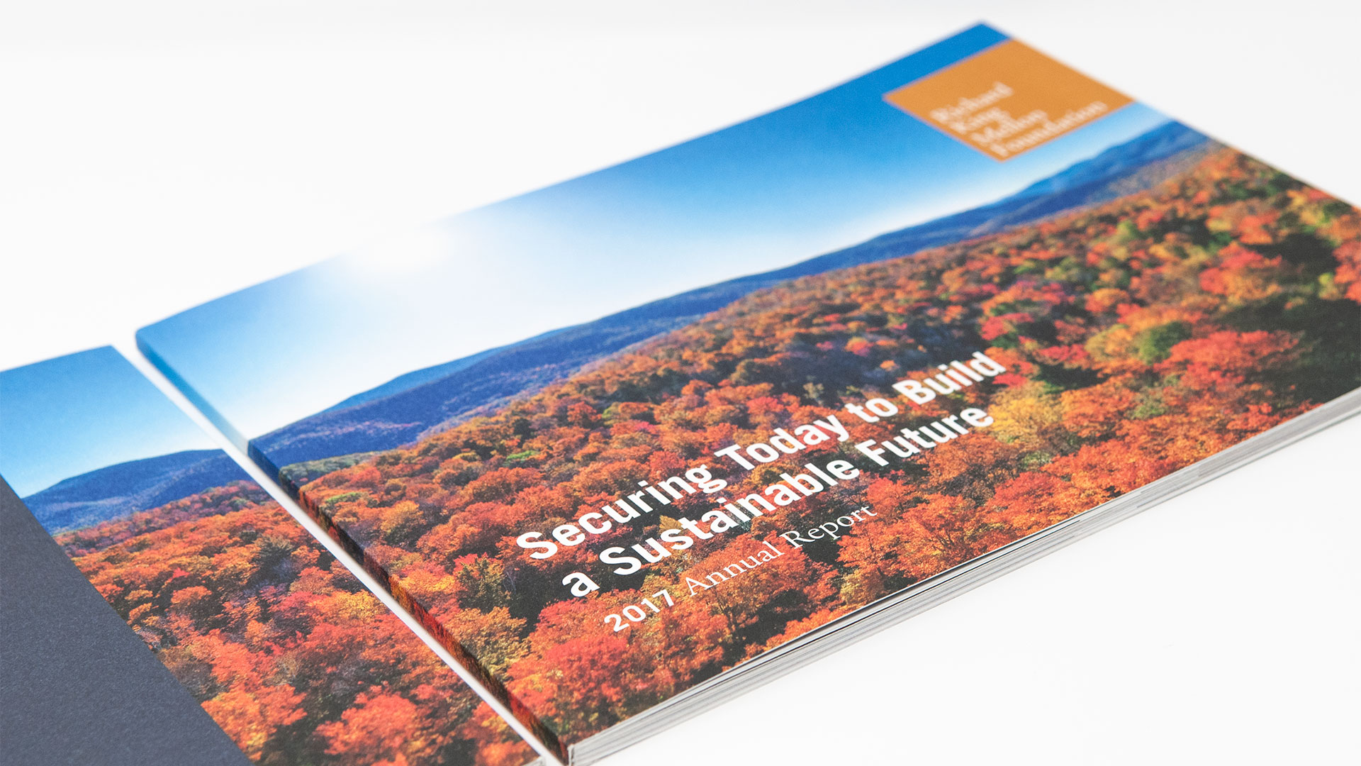 Richard King Mellon Foundation 2017 Annual Report cover