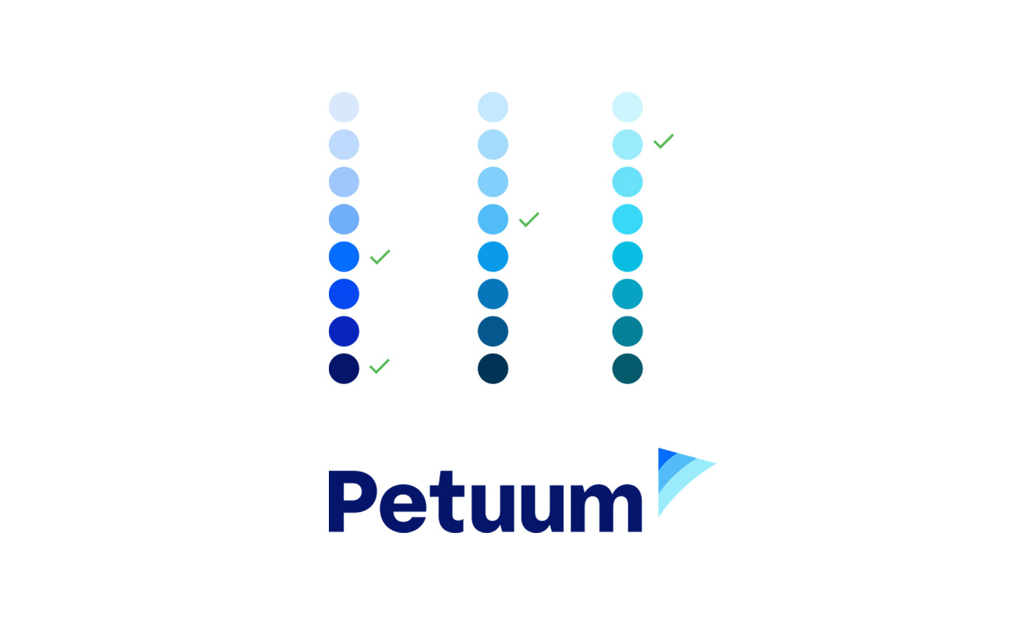 Petuum identity primary colors