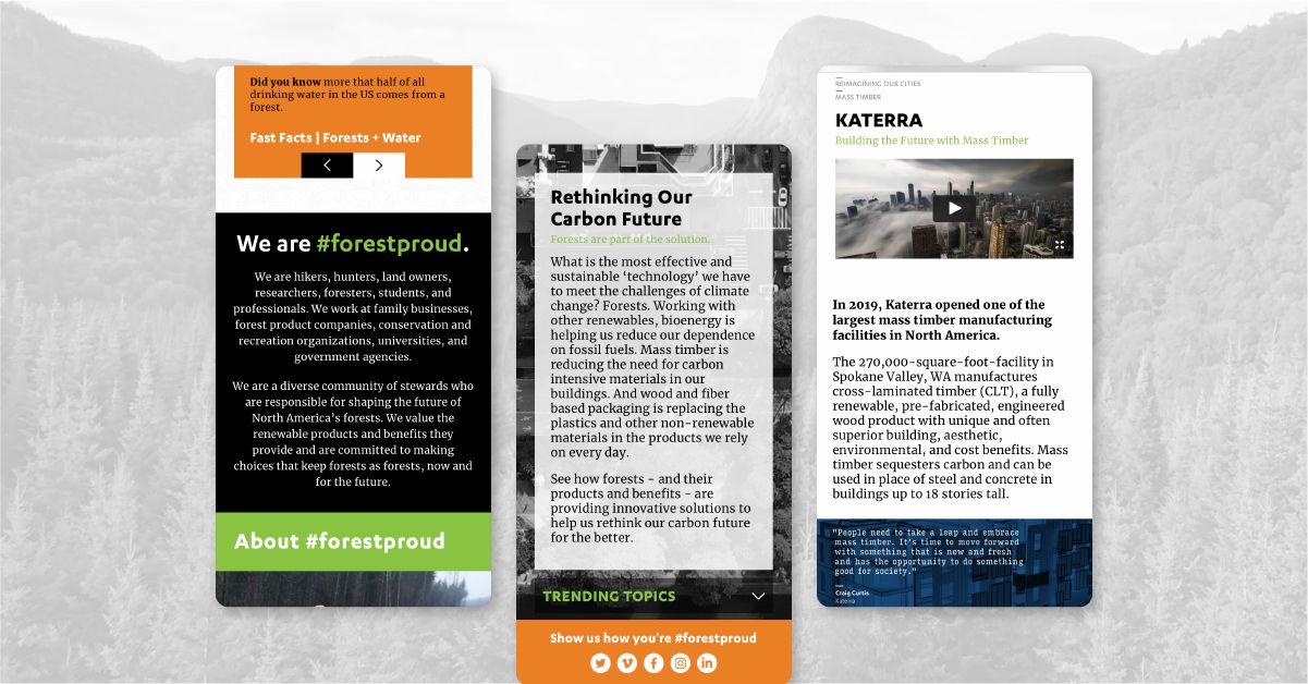 #forestproud website responsive screens