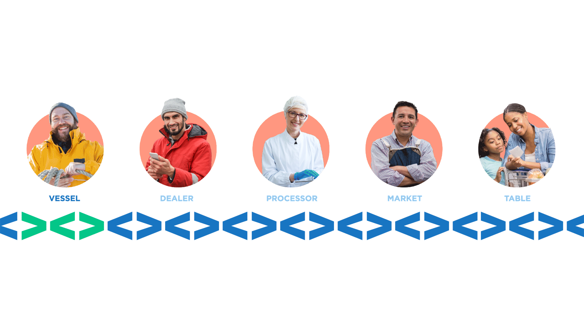 Legit Fish audience animation with logo chain