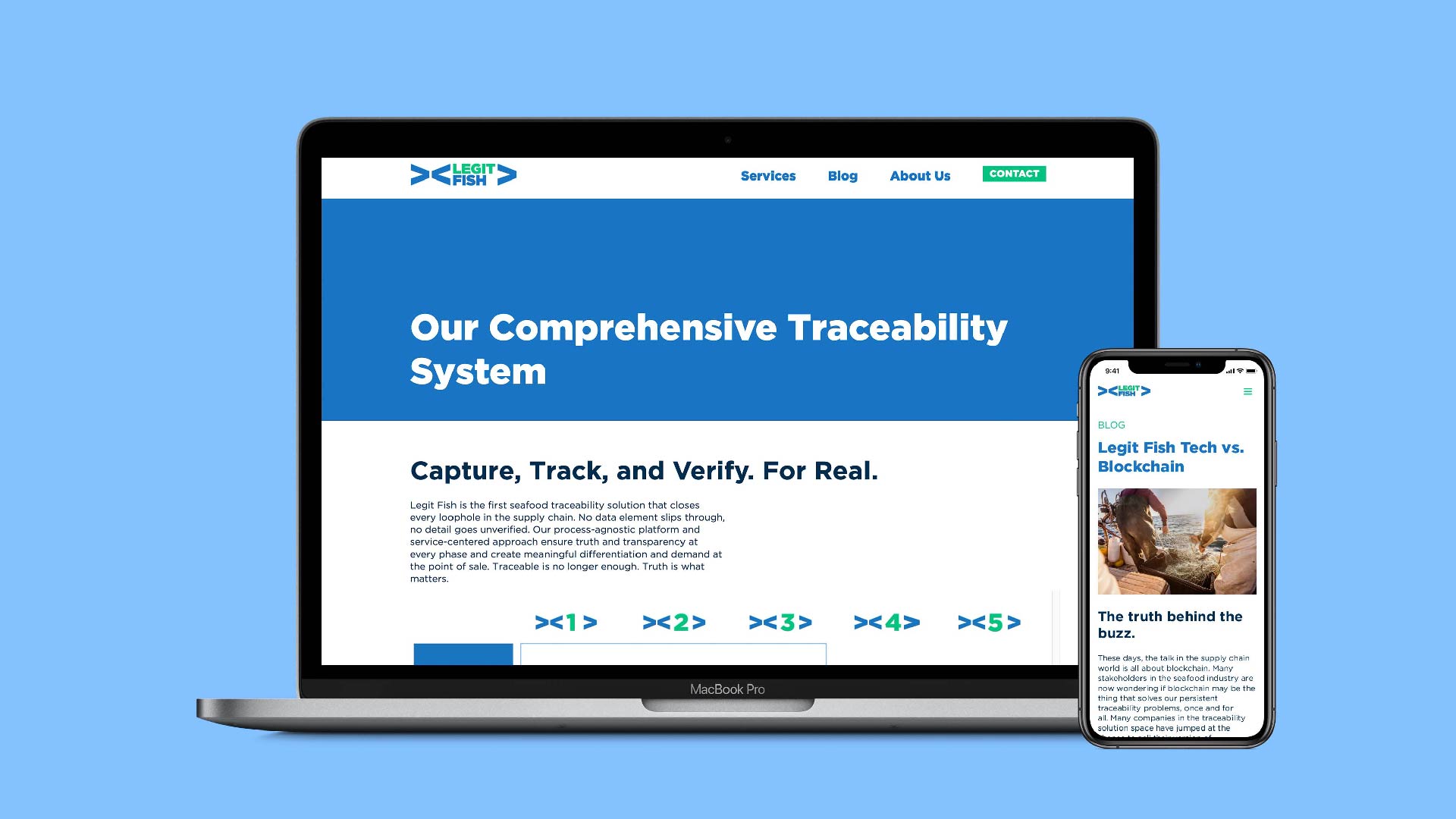 Legit Fish website responsive screens