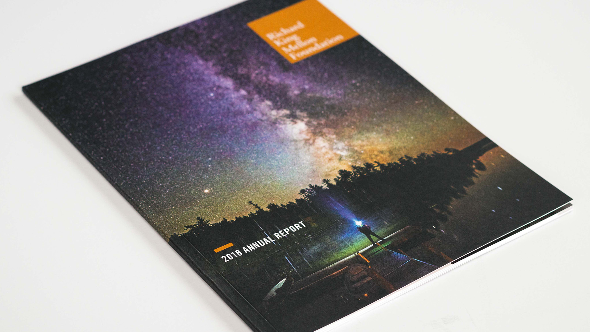 Richard King Mellon Foundation 2018 Annual Report cover