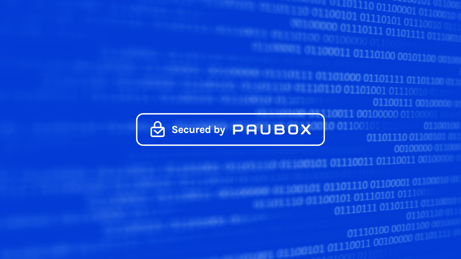Paubox Inc Hero Grahpic