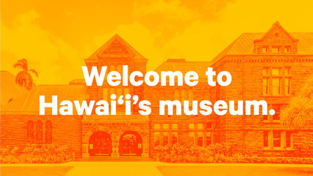 Bishop Museum | Wall-to-Wall Studios