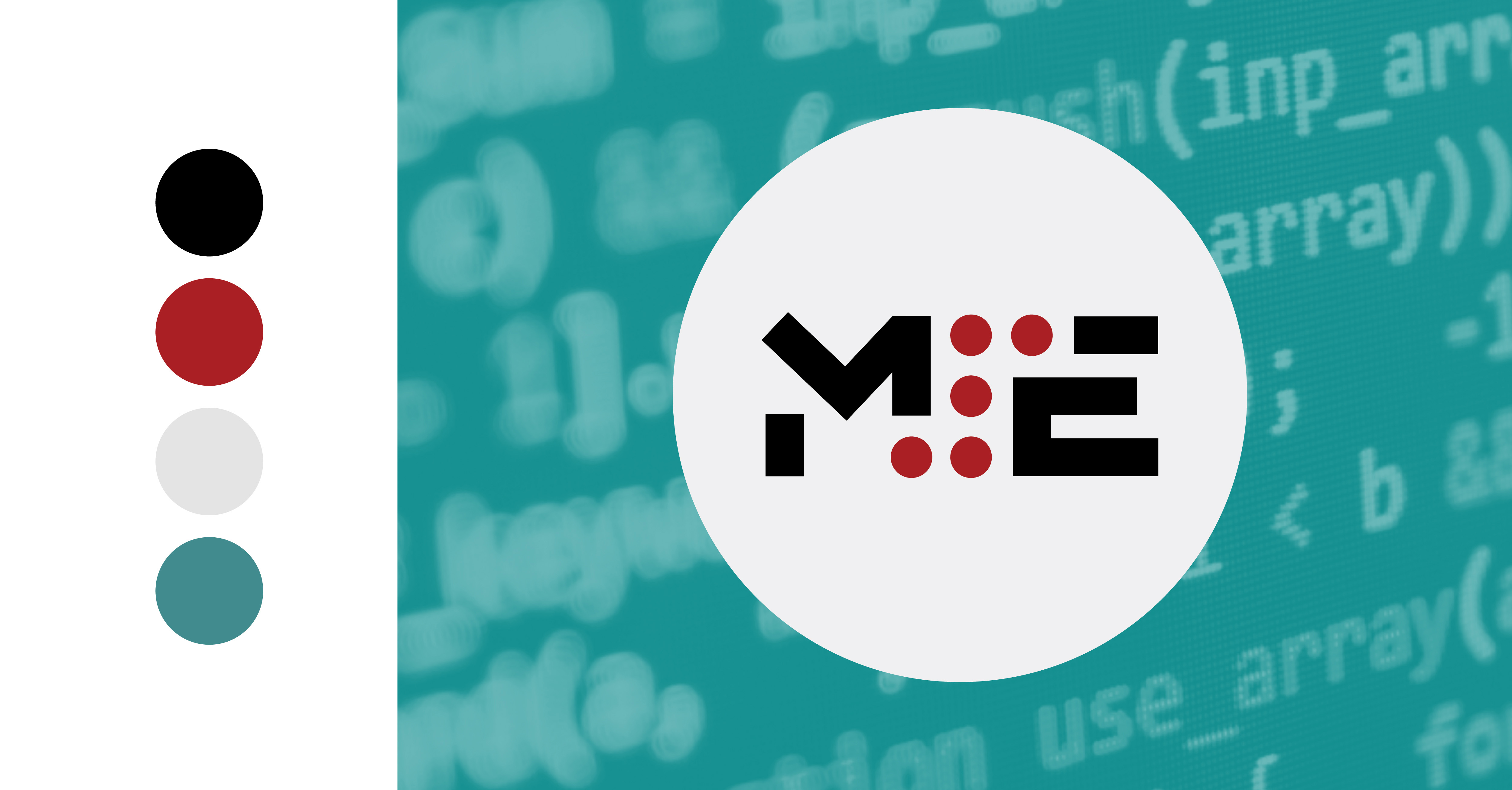 CMU MSE brand elements