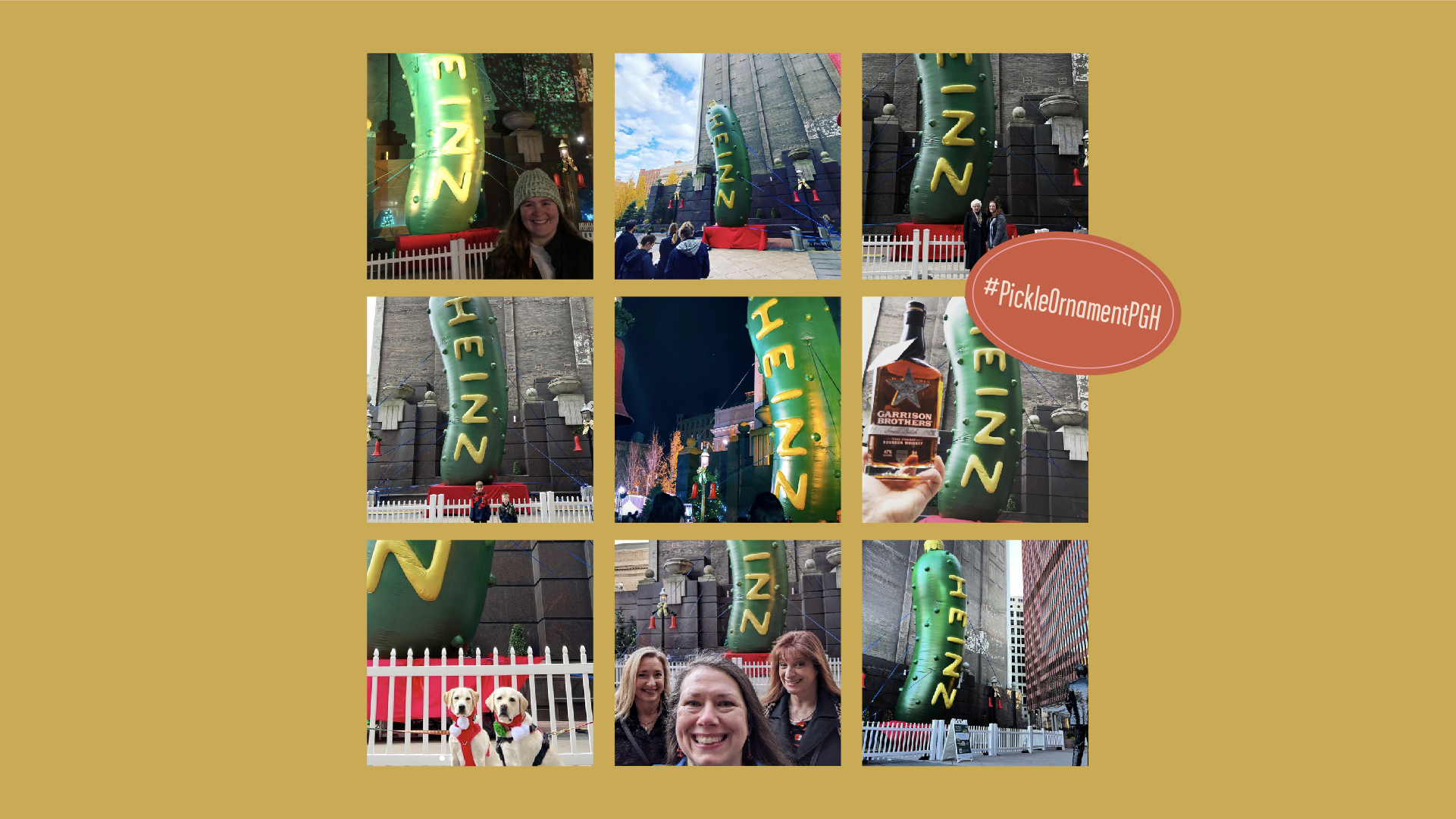 Pickle Ornament Selfies