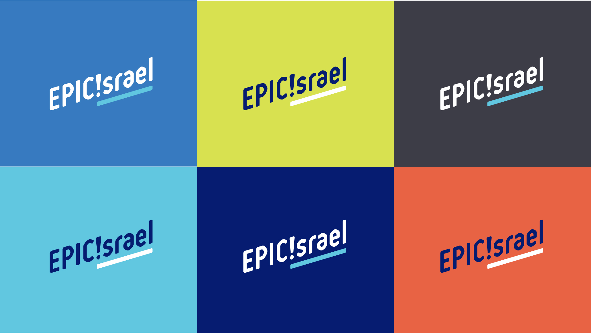 USY EPIC Israel campaign color palette