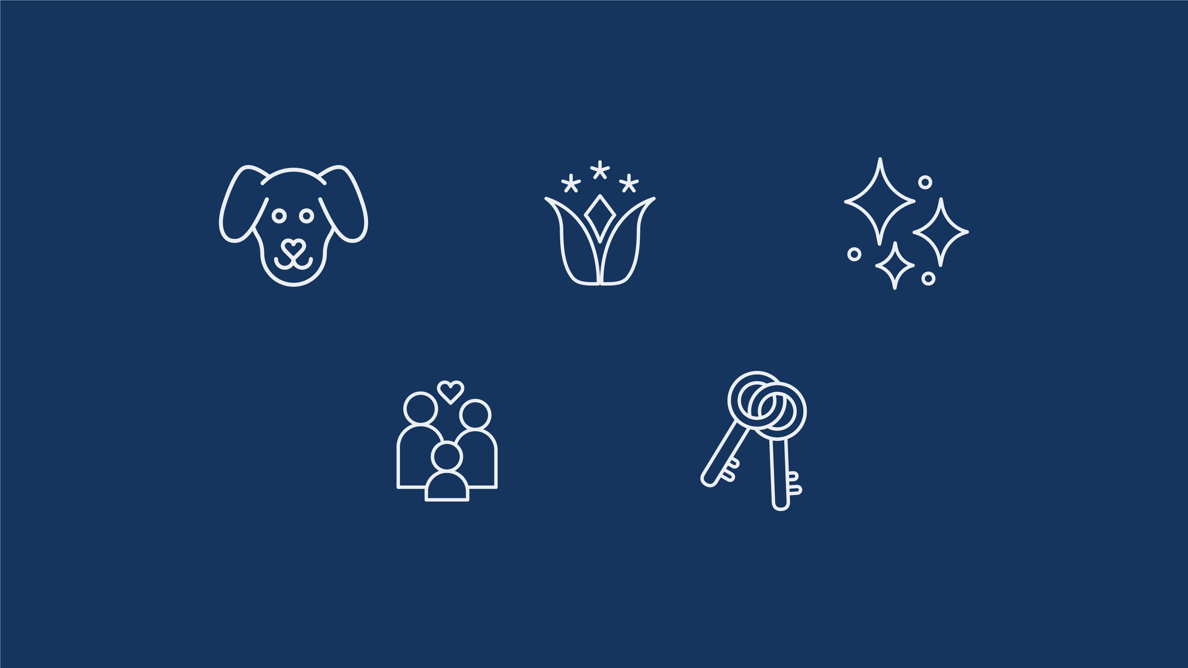 AllerEase website custom icons