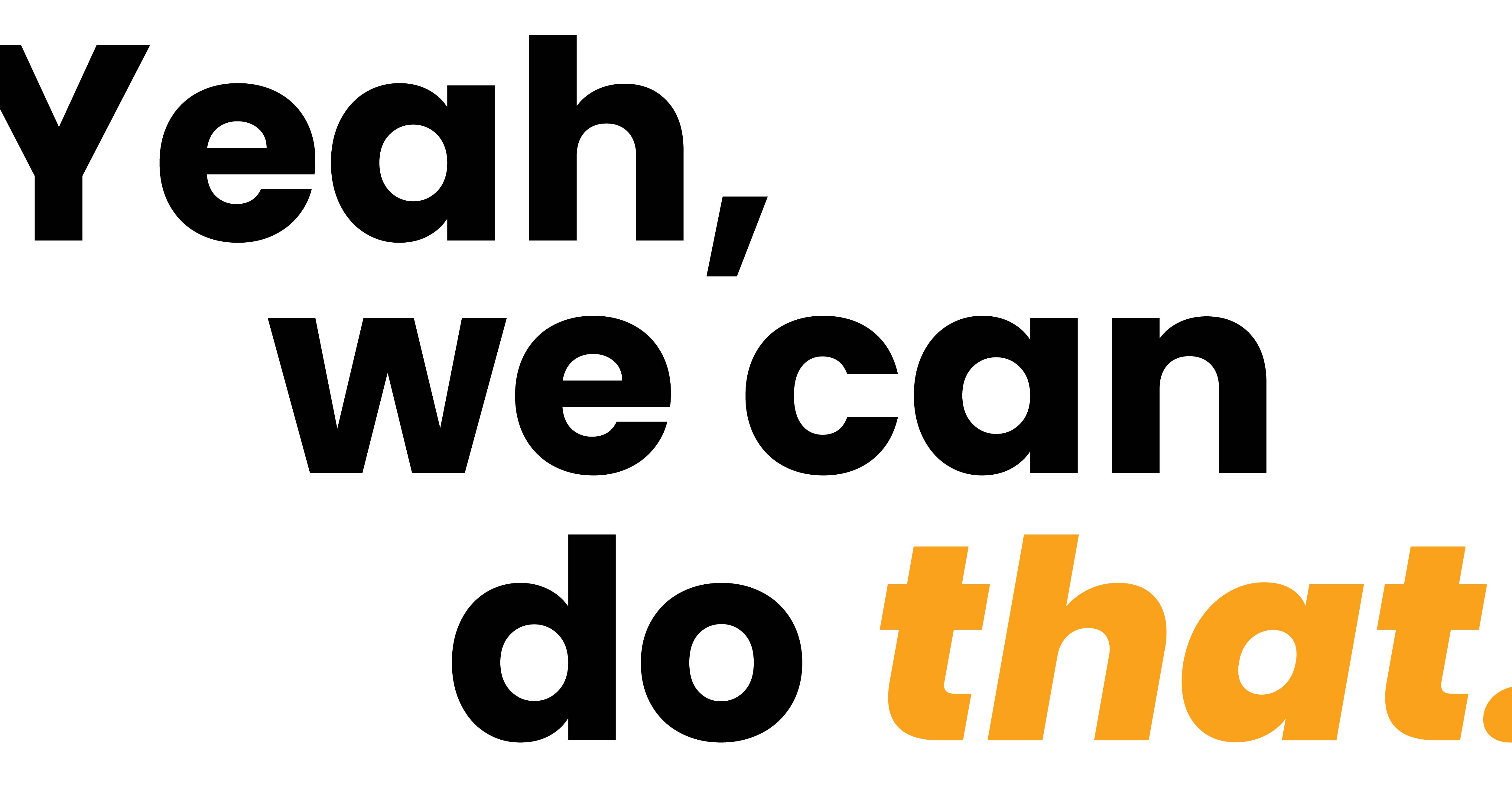 The Flyspace mantra, "Yeah we can do that."