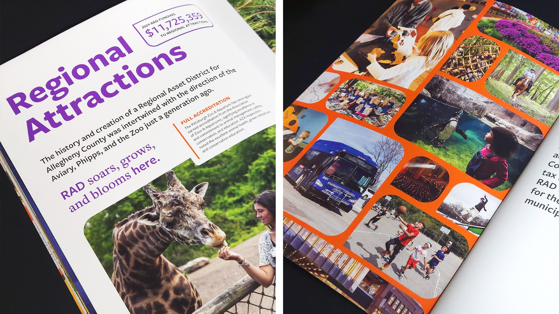 Inside spreads from the 2024 RAD Annual Report.