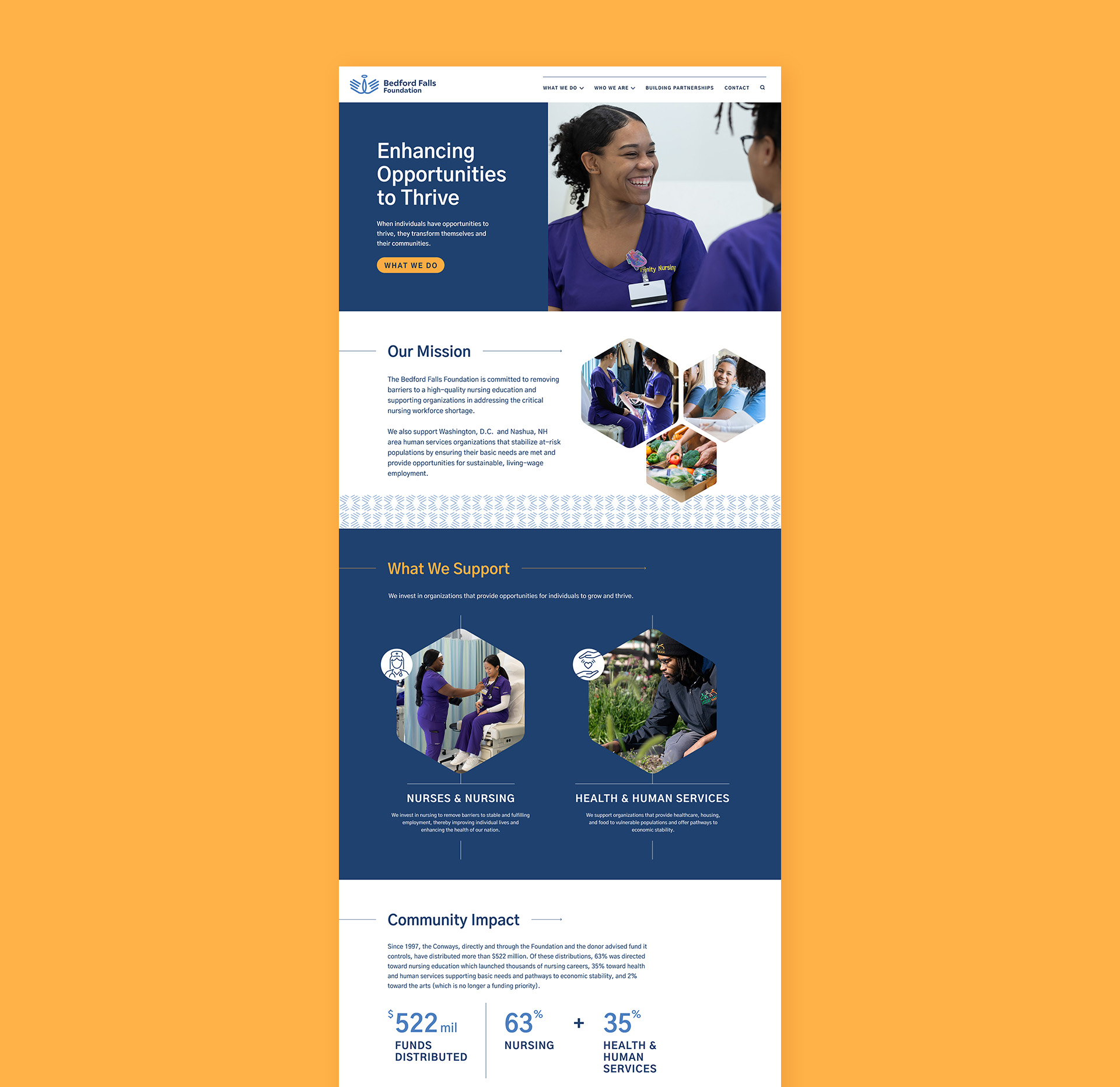Bedford Falls Foundation complete Homepage visual